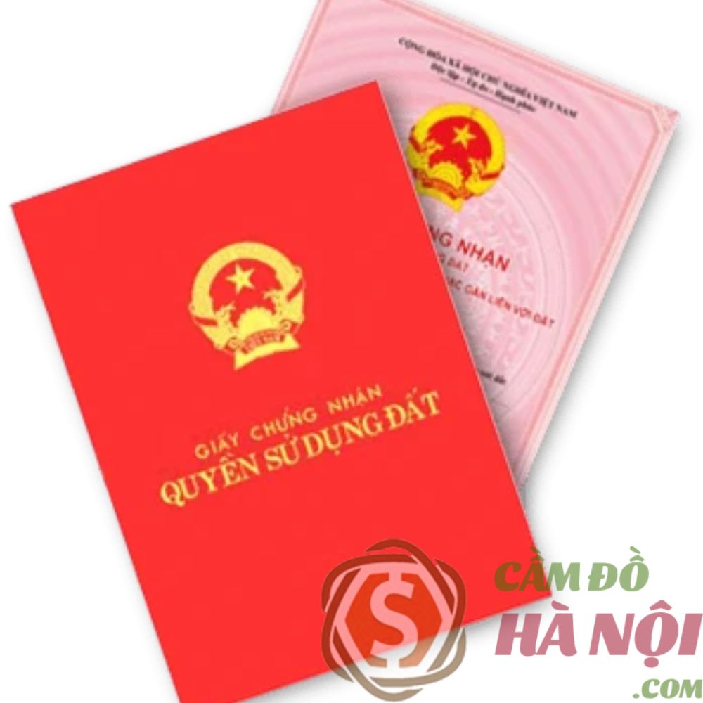 Trải nghiệm thực tế và sự khác biệt của Camdohanoi.com
